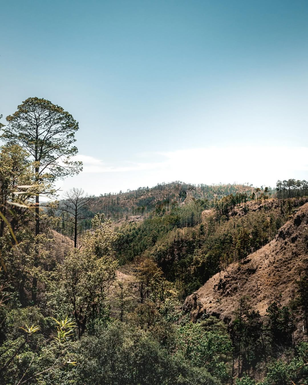 Campamento en Montaña